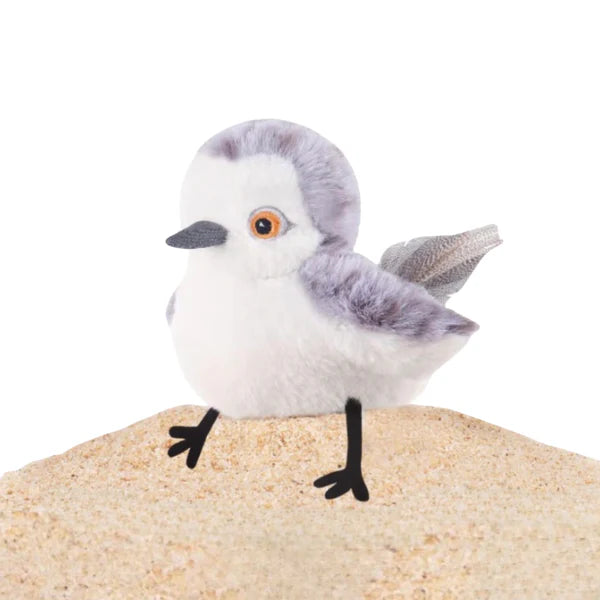 FlutterPlay Sparrow: Interactive Flying Cat Toy