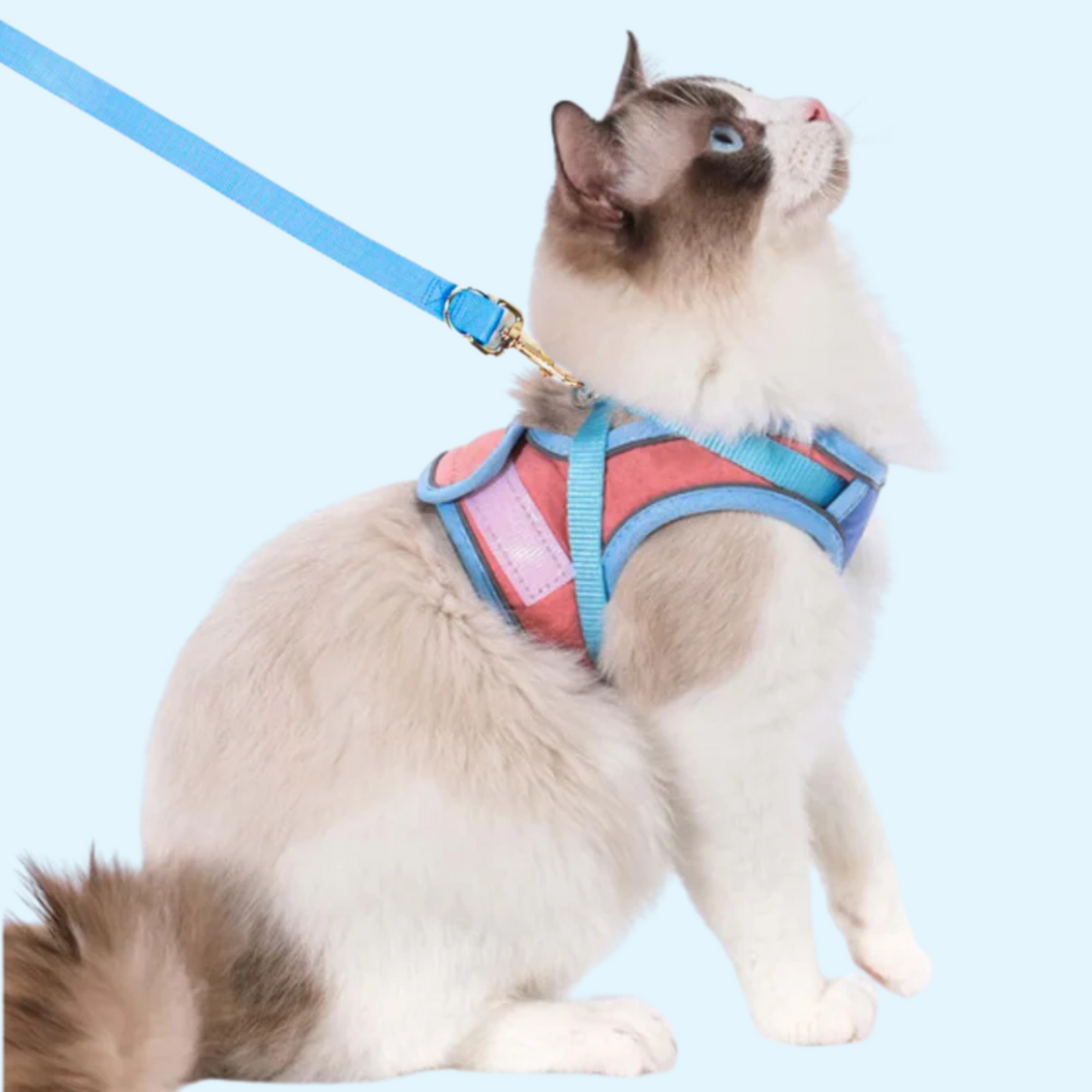 Cat Harness & Leash
