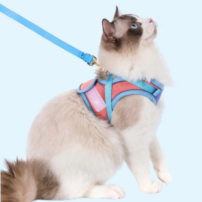Cat Harness & Leash