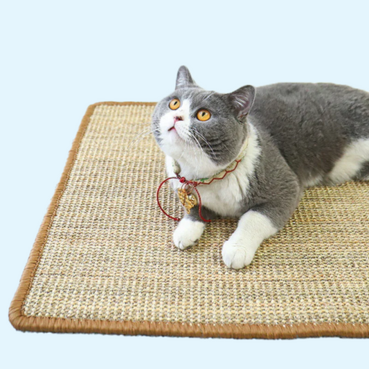 Scratcher Mat