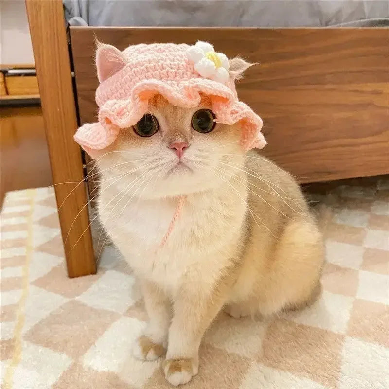Cute Cat Hat