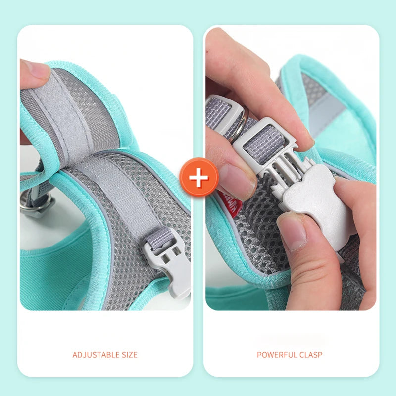 Cat Harness & Leash