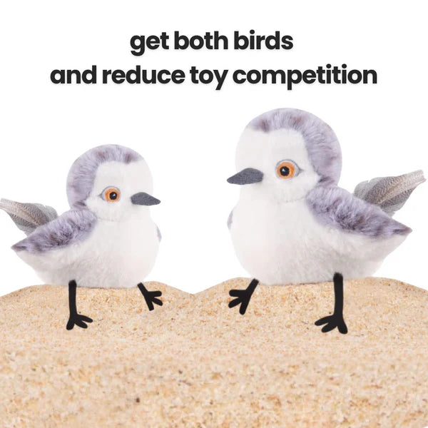 FlutterPlay Sparrow: Interactive Flying Cat Toy