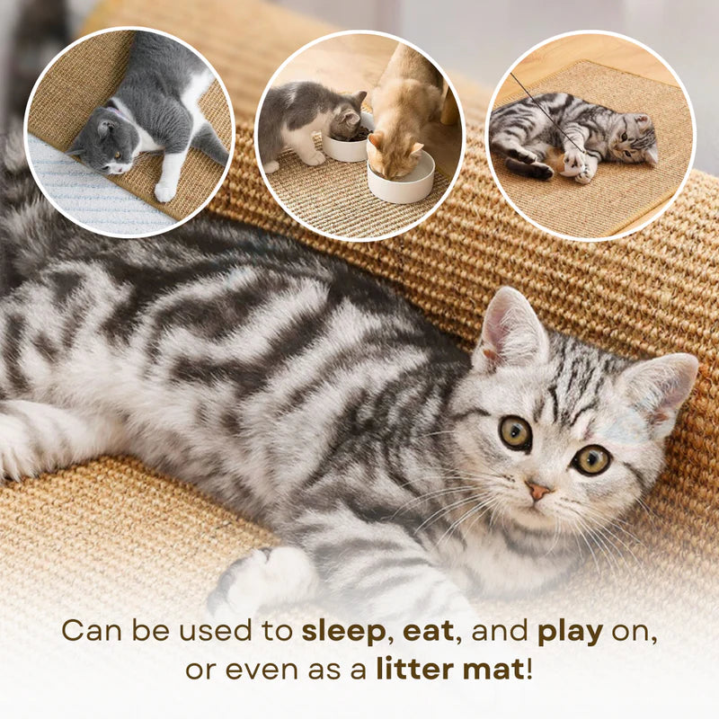 Scratcher Mat