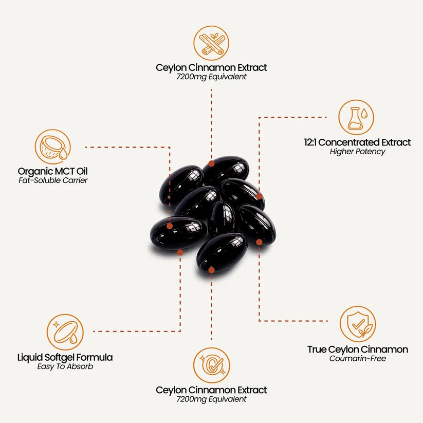 Ceylon Cinnamon 7200mg Equivalent with MCT Oil